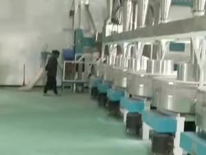 雜糧加工設備